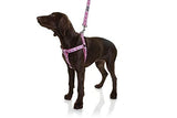 DOOG - Step-In Harness SCOOBY - XSmall