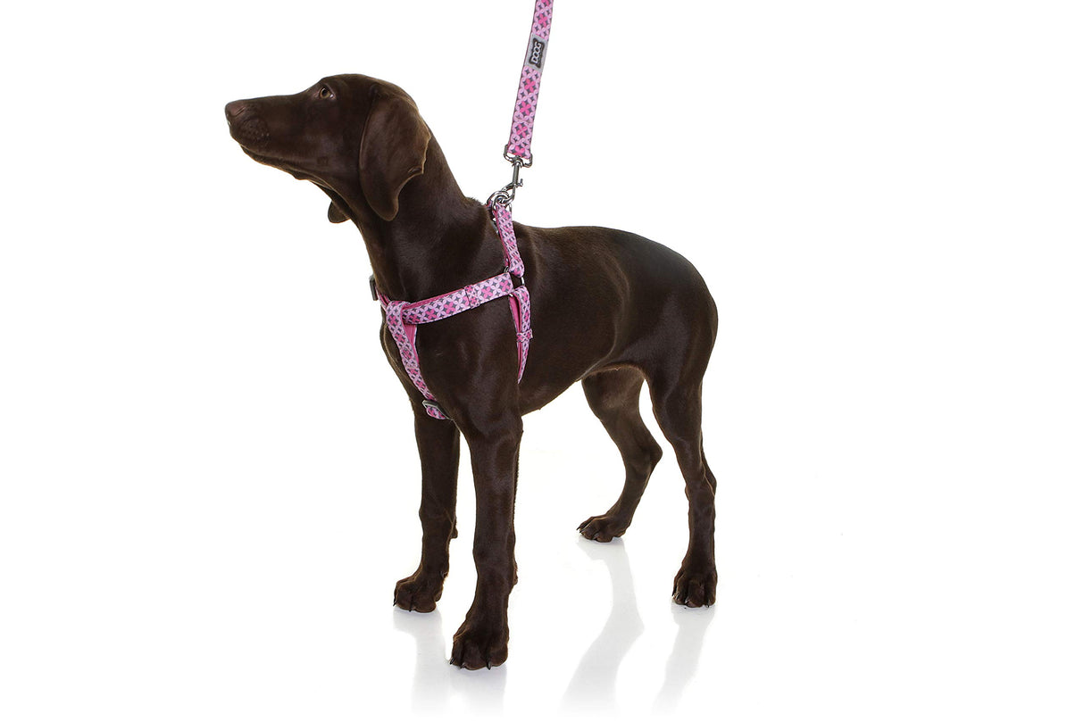 DOOG - Step-In Harness SCOOBY - XSmall
