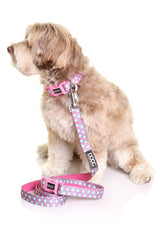 DOOG - Soft and Breathable Neoprene Padded Adjustable Dog Collar