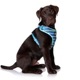 DOOG - All Weather 'Neoflex" Dog Harness, Flexible Neoprene Breathable Mesh Padding Light Wetsuit Material Water Friendly Draws Moisture Away Fir Skin Easy Fit Small, Medium, Large, XL Soft Comfortable 2 Point Adjustable Leash Training Run Walk Swim