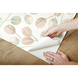 RoomMates RMK11654WP  Cat Coquillette Eucalyptus Peel & Stick Wallpaper