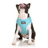 DOOG - All Weather 'Neoflex" Dog Harness, Flexible Neoprene Breathable Mesh Padding Light Wetsuit Material Water Friendly Draws Moisture Away Fir Skin Easy Fit Small, Medium, Large, XL Soft Comfortable 2 Point Adjustable Leash Training Run Walk Swim