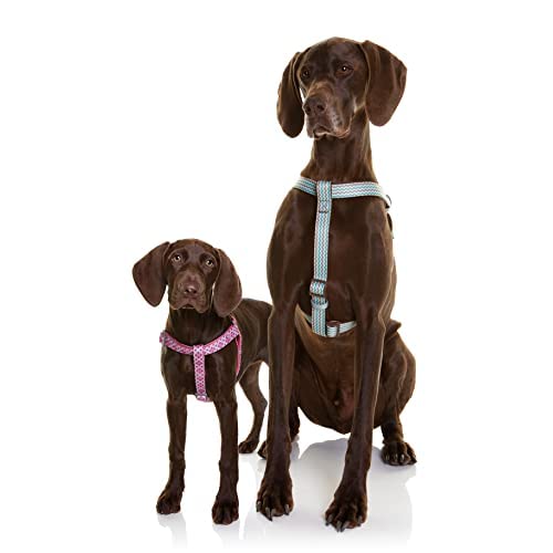 DOOG - Step-In Harness SCOOBY - XSmall