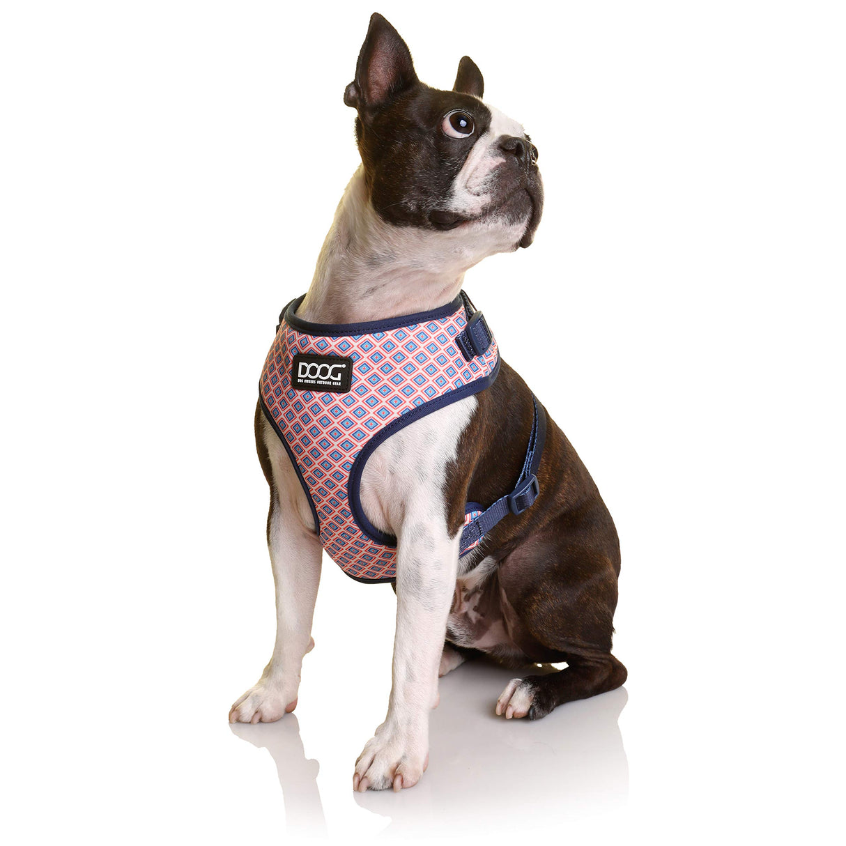 DOOG - All Weather 'Neoflex" Dog Harness, Flexible Neoprene Breathable Mesh Padding Light Wetsuit Material Water Friendly Draws Moisture Away Fir Skin Easy Fit Small, Medium, Large, XL Soft Comfortable 2 Point Adjustable Leash Training Run Walk Swim