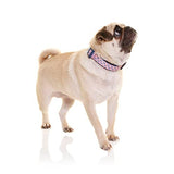 DOOG - Soft and Breathable Neoprene Padded Adjustable Dog Collar