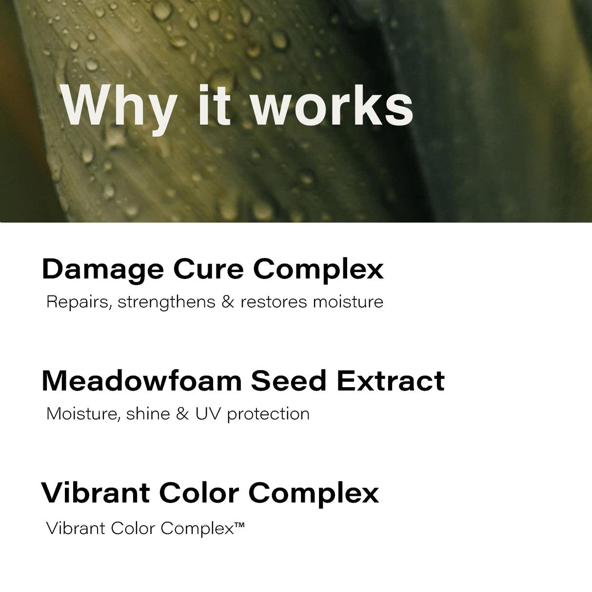 Eufora MLN-337568: 6.8 fl oz Beautifying Elixirs Leave-in Repair Treatment