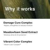 Eufora MLN-337568: 6.8 fl oz Beautifying Elixirs Leave-in Repair Treatment