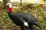 Shooter Buck G71320: Turkey Decoy