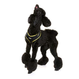 DOOG - All Weather 'Neoflex" Dog Harness, Flexible Neoprene Breathable Mesh Padding Light Wetsuit Material Water Friendly Draws Moisture Away Fir Skin Easy Fit Small, Medium, Large, XL Soft Comfortable 2 Point Adjustable Leash Training Run Walk Swim