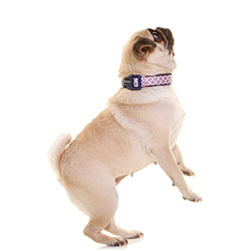 DOOG - Soft and Breathable Neoprene Padded Adjustable Dog Collar