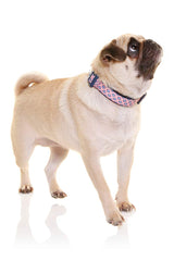 DOOG - Soft and Breathable Neoprene Padded Adjustable Dog Collar
