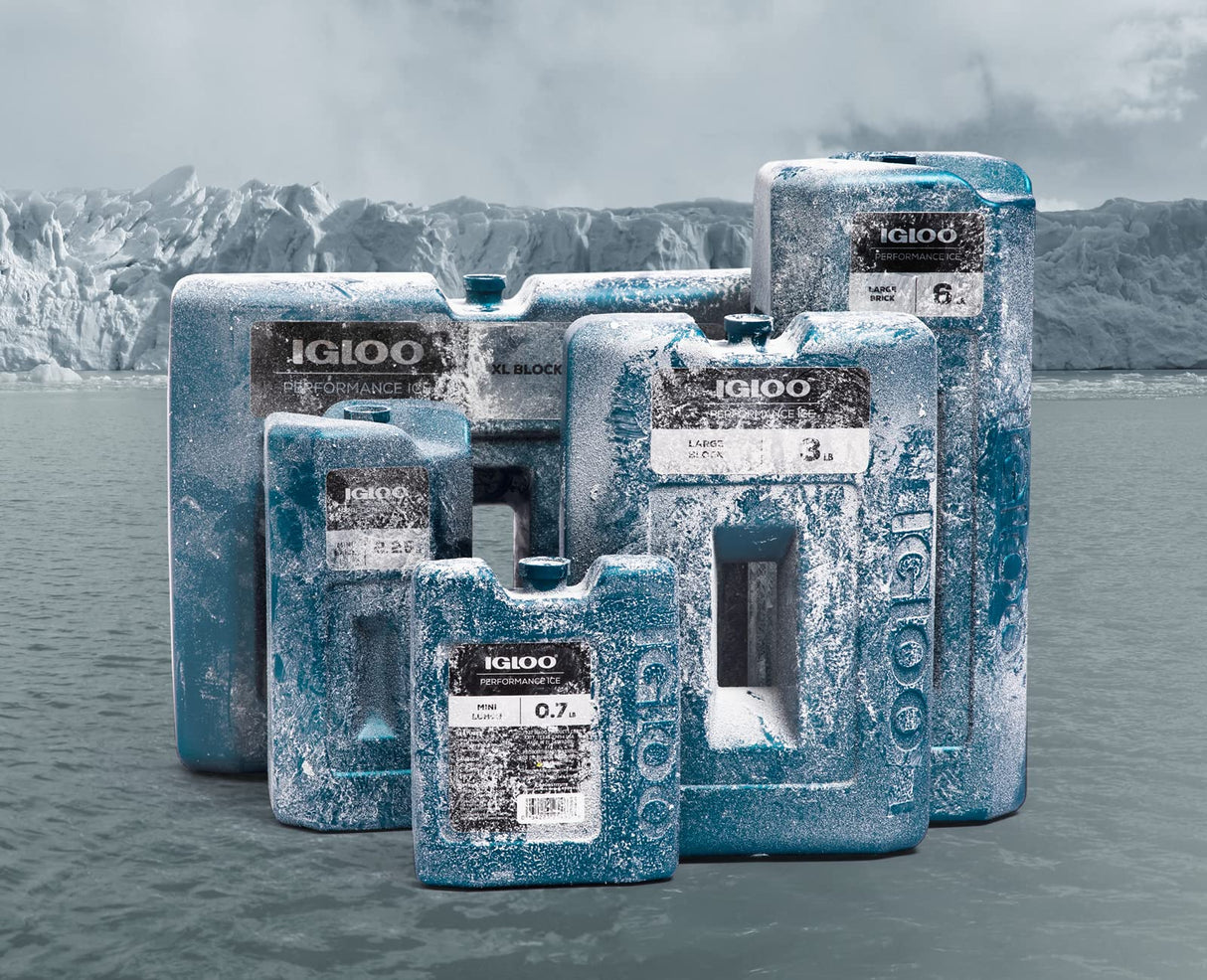 Igloo 00025467 Performance Ice Brick 6 Pounds BLUE
