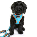 DOOG - All Weather 'Neoflex" Dog Harness, Flexible Neoprene Breathable Mesh Padding Light Wetsuit Material Water Friendly Draws Moisture Away Fir Skin Easy Fit Small, Medium, Large, XL Soft Comfortable 2 Point Adjustable Leash Training Run Walk Swim