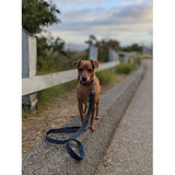 DOOG - Dog Lead (Small, Large & Clip-It Extra Large)