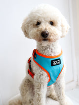 DOOG - All Weather 'Neoflex" Dog Harness, Flexible Neoprene Breathable Mesh Padding Light Wetsuit Material Water Friendly Draws Moisture Away Fir Skin Easy Fit Small, Medium, Large, XL Soft Comfortable 2 Point Adjustable Leash Training Run Walk Swim