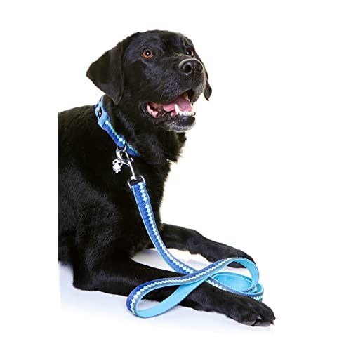 DOOG - Soft and Breathable Neoprene Padded Adjustable Dog Collar