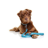 DOOG - Soft and Breathable Neoprene Padded Adjustable Dog Collar