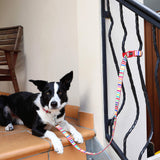 DOOG - Dog Lead (Small, Large & Clip-It Extra Large)