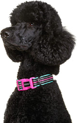 DOOG - Soft and Breathable Neoprene Padded Adjustable Dog Collar