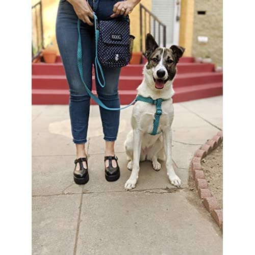 DOOG - Dog Lead (Small, Large & Clip-It Extra Large)