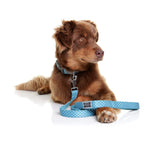 DOOG - Dog Lead (Small, Large & Clip-It Extra Large)
