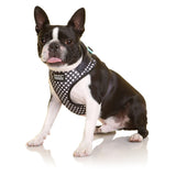DOOG - Step-In Harness SCOOBY - XSmall