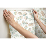 RoomMates RMK11654WP  Cat Coquillette Eucalyptus Peel & Stick Wallpaper