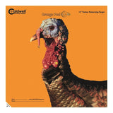 Caldwell 1175518 12" Orange Peel Turkey Targets -5 Sheets