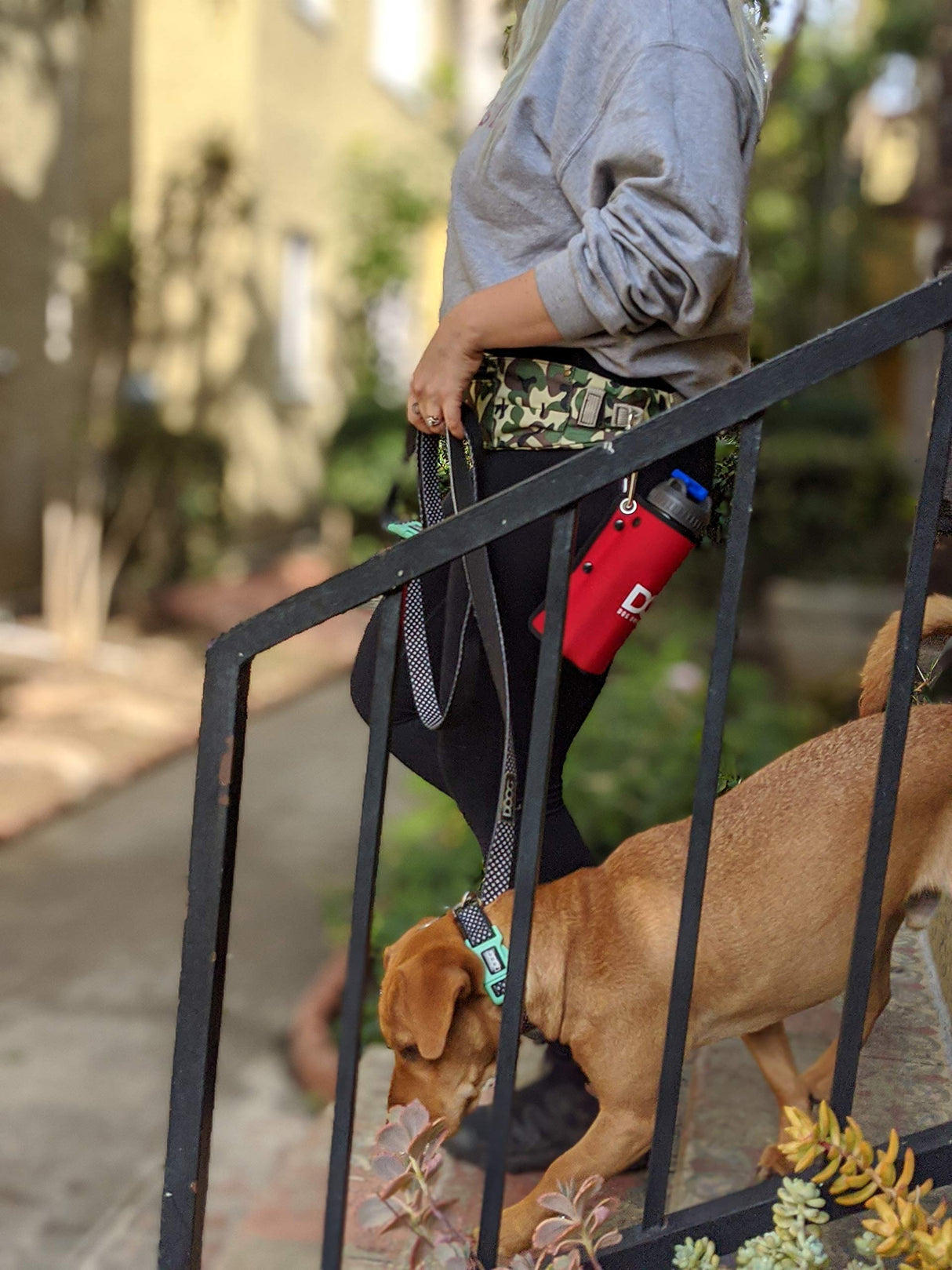 DOOG - Dog Lead (Small, Large & Clip-It Extra Large)