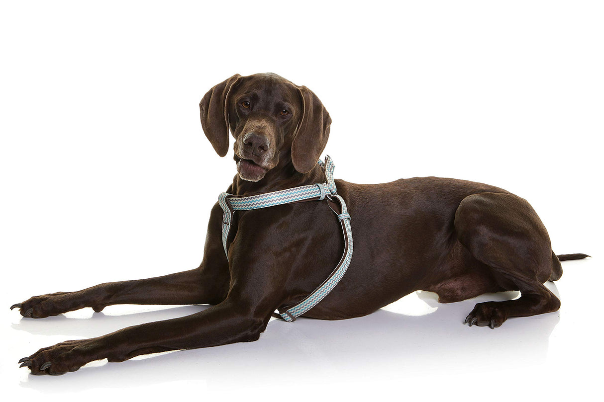 DOOG - Step-In Harness SCOOBY - XSmall