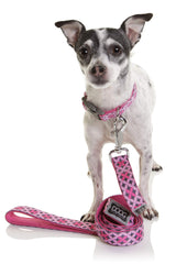 DOOG - Soft and Breathable Neoprene Padded Adjustable Dog Collar