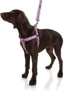 DOOG - Step-In Harness SCOOBY - XSmall