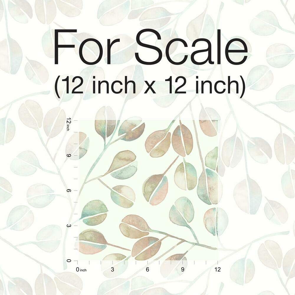 RoomMates RMK11654WP  Cat Coquillette Eucalyptus Peel & Stick Wallpaper