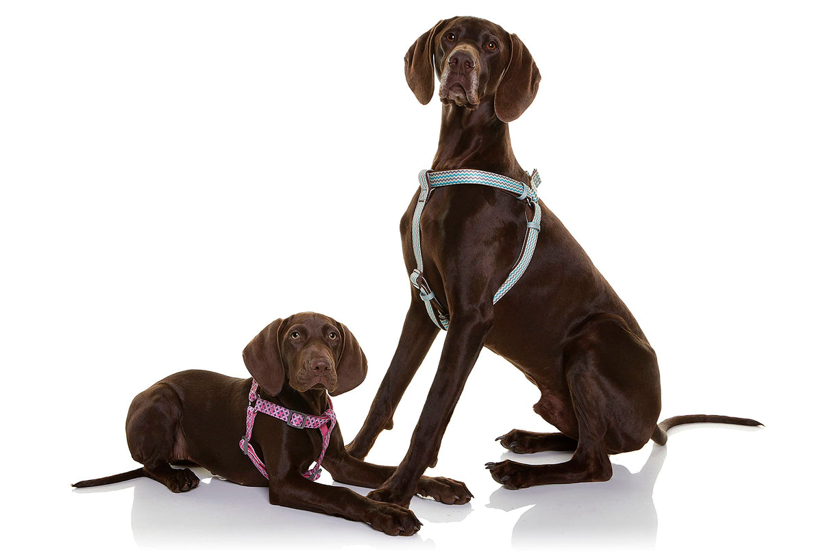 DOOG - Step-In Harness SCOOBY - XSmall