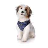 DOOG - All Weather 'Neoflex" Dog Harness, Flexible Neoprene Breathable Mesh Padding Light Wetsuit Material Water Friendly Draws Moisture Away Fir Skin Easy Fit Small, Medium, Large, XL Soft Comfortable 2 Point Adjustable Leash Training Run Walk Swim