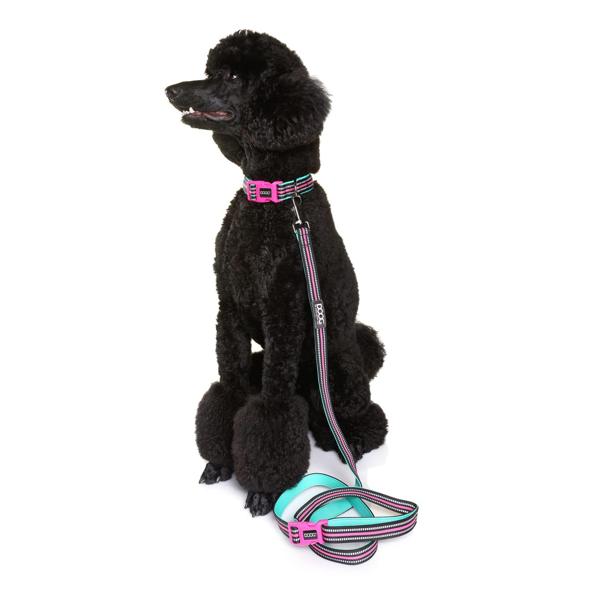 DOOG - Soft and Breathable Neoprene Padded Adjustable Dog Collar