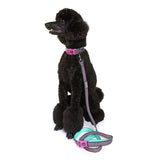 DOOG - Soft and Breathable Neoprene Padded Adjustable Dog Collar