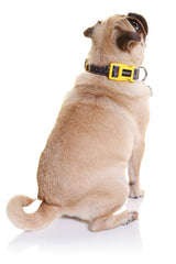 DOOG - Soft and Breathable Neoprene Padded Adjustable Dog Collar