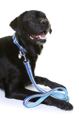 DOOG - Soft and Breathable Neoprene Padded Adjustable Dog Collar