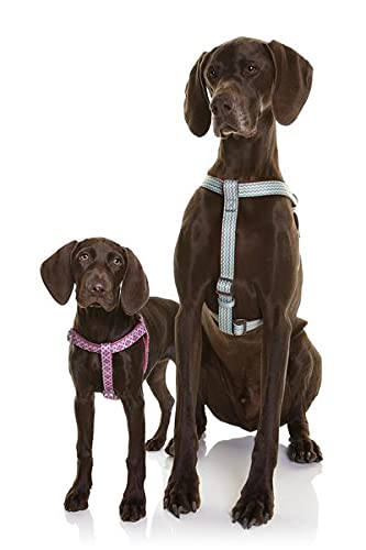 DOOG - Step-In Harness SCOOBY - XSmall