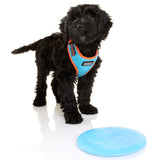 DOOG - All Weather 'Neoflex" Dog Harness, Flexible Neoprene Breathable Mesh Padding Light Wetsuit Material Water Friendly Draws Moisture Away Fir Skin Easy Fit Small, Medium, Large, XL Soft Comfortable 2 Point Adjustable Leash Training Run Walk Swim