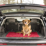 Dog Gone Smart Dirty Dog Microfiber Paw Doormat - Super Absorbent Dog Mat Keeps Paws & Floors Clean - Machine Washable Pet Door Rugs with Non-Slip Backing