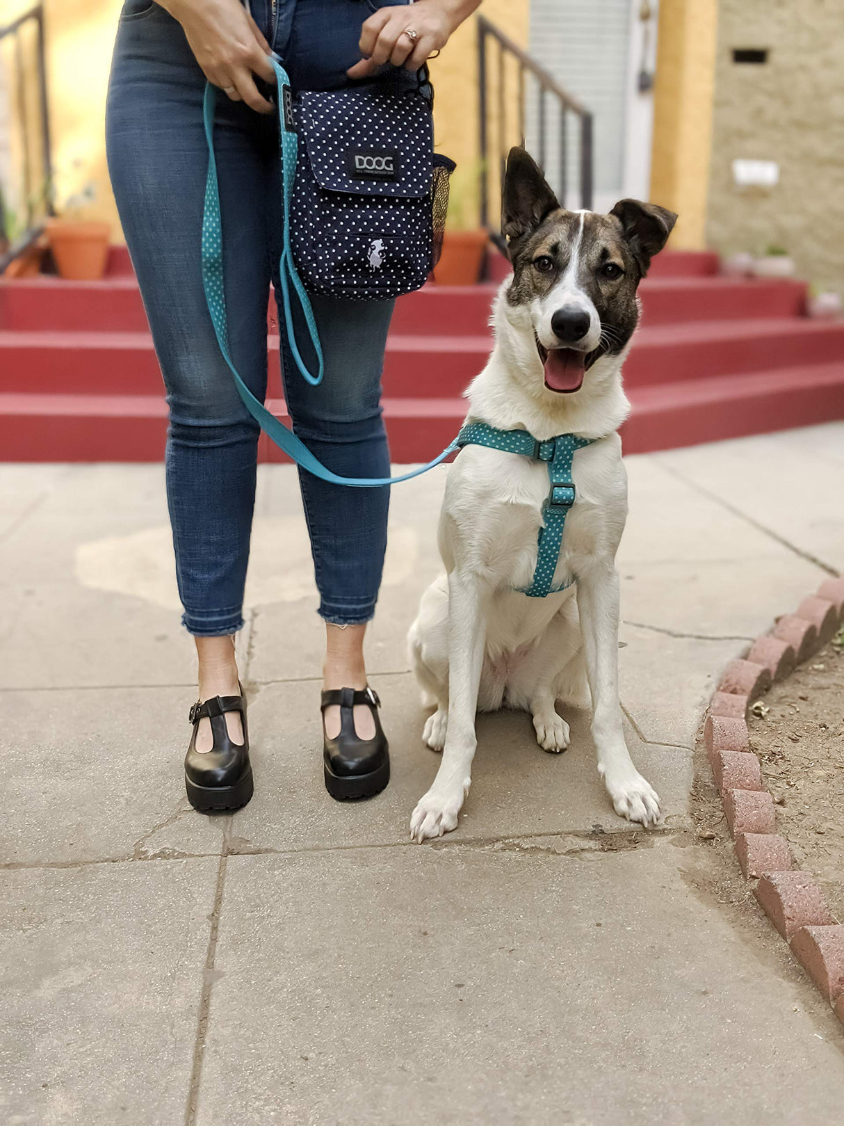 DOOG - Dog Lead (Small, Large & Clip-It Extra Large)