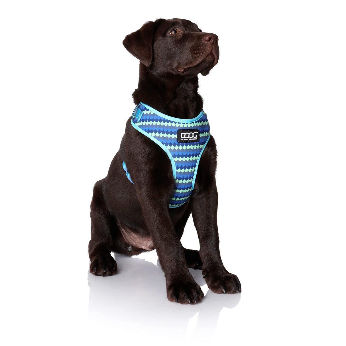 DOOG - All Weather 'Neoflex" Dog Harness, Flexible Neoprene Breathable Mesh Padding Light Wetsuit Material Water Friendly Draws Moisture Away Fir Skin Easy Fit Small, Medium, Large, XL Soft Comfortable 2 Point Adjustable Leash Training Run Walk Swim