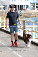 DOOG - Soft and Breathable Neoprene Padded Adjustable Dog Collar