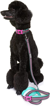 DOOG - Soft and Breathable Neoprene Padded Adjustable Dog Collar