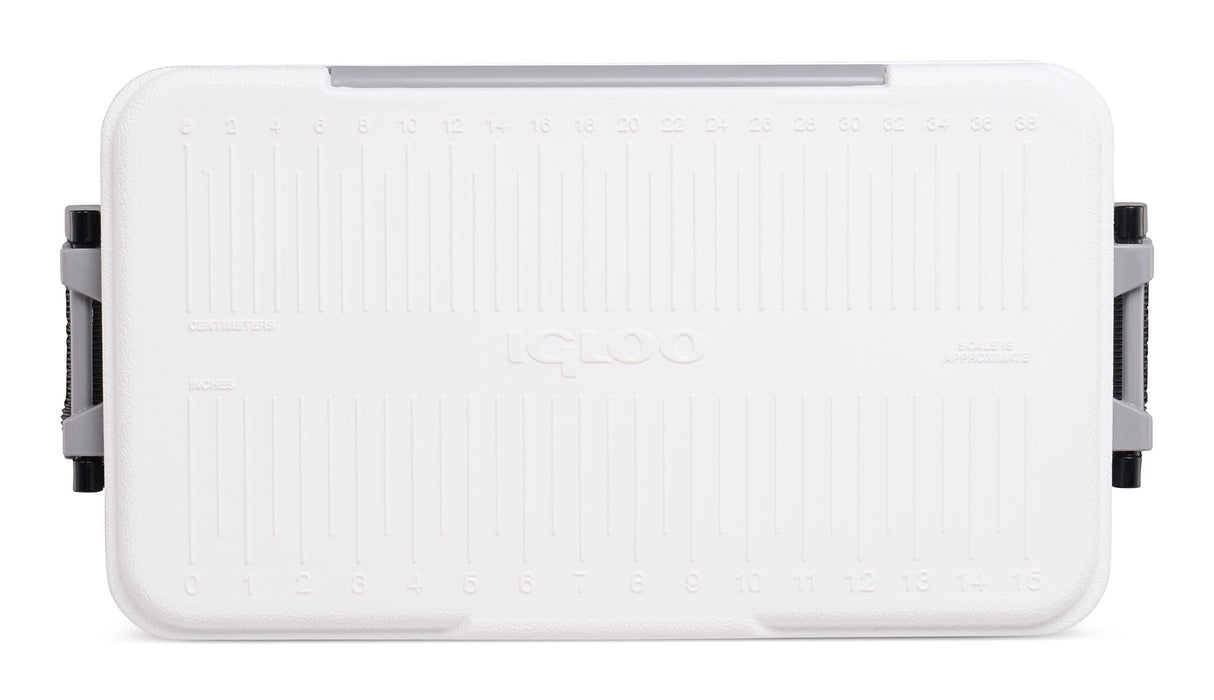 Igloo 00049550  Latitude Marine 25Qt Cooler -White w/Gray & Black