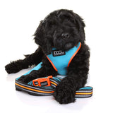 DOOG - All Weather 'Neoflex" Dog Harness, Flexible Neoprene Breathable Mesh Padding Light Wetsuit Material Water Friendly Draws Moisture Away Fir Skin Easy Fit Small, Medium, Large, XL Soft Comfortable 2 Point Adjustable Leash Training Run Walk Swim