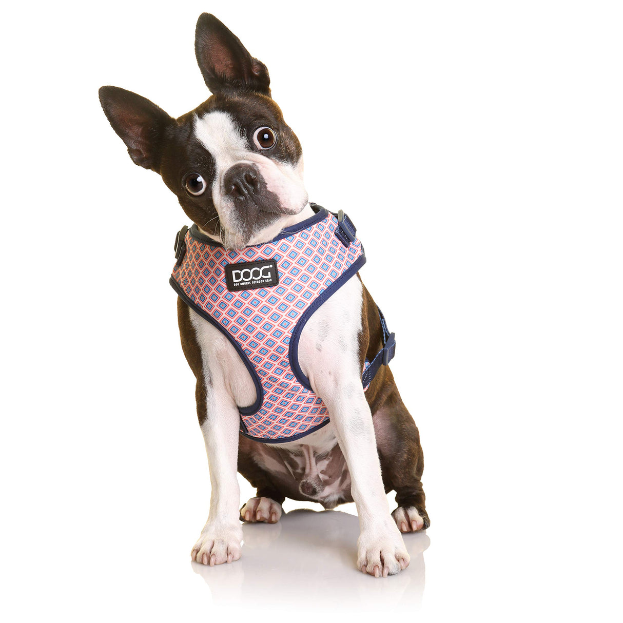 DOOG - All Weather 'Neoflex" Dog Harness, Flexible Neoprene Breathable Mesh Padding Light Wetsuit Material Water Friendly Draws Moisture Away Fir Skin Easy Fit Small, Medium, Large, XL Soft Comfortable 2 Point Adjustable Leash Training Run Walk Swim