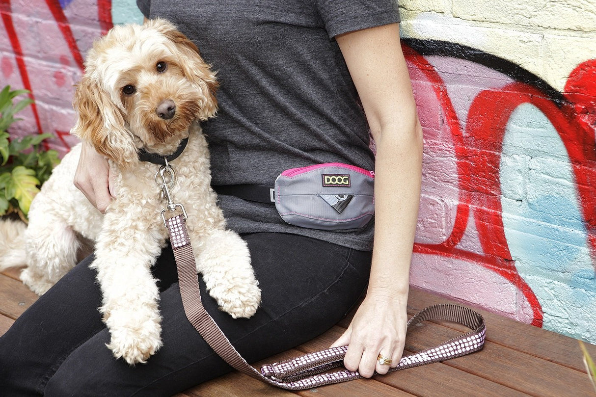 DOOG - Mini Belt, Black